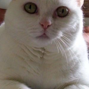 Meet your Posher, Debra